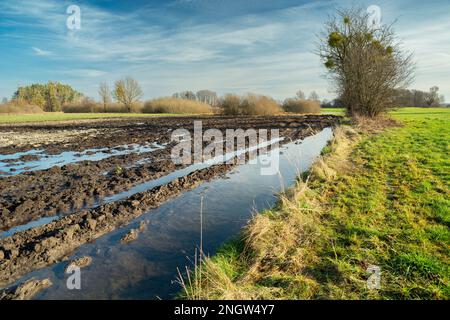 Wasser nach Schneeschmelzen auf einem gepflügten Feld, sonniger Tag, Nowiny, Polen Stockfoto