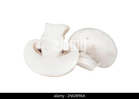 Ganze Champignon-Pilze isoliert auf weißem Hintergrund. Pilzhintergrund. Frische Champignon-Pilze aus der Nähe. Stockfoto
