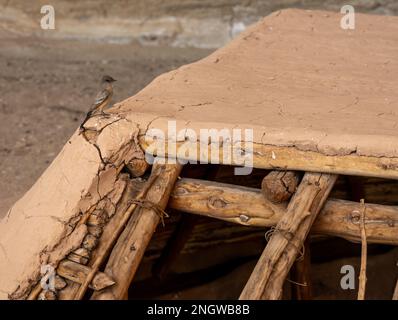 Ton-Dreck über dem Kiva-Dach mit Vogel auf dem Dach Stockfoto