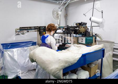 Grodno, Weißrussland - 22. November 2017: Frauen sind im JLLC Conte Spa an der Schneiderei von Strumpfhosen beteiligt. Stockfoto