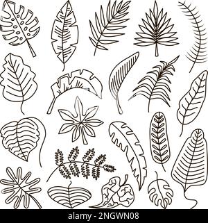 Doodle tropische Umrissblätter, Blatt exotische Linienkontur isoliertes Set. Palmen-Kunst-Laub, Dschungelpflanzen und Monstera. Neoterische Vektorzeichnungscharakteristik Stock Vektor