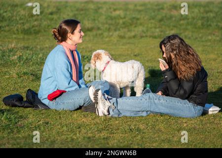 London, Großbritannien. 19. Februar 2023 Zwei Frauen, die sich am Nachmittag mit ihrem Hund in Wimbledon Common, Südwest-London, entspannen, da die Temperaturen voraussichtlich 14celsius °C erreichen. Gutschrift: amer Ghazzal/Alamy Live News Stockfoto