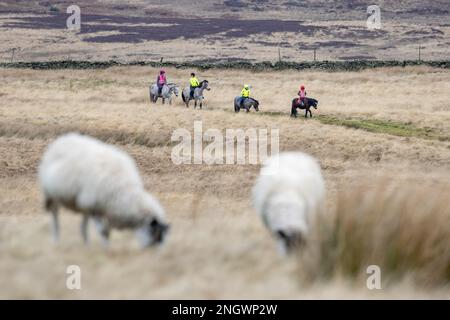 Eine Gruppe von vier Reitern, die im Winter in Langbar, North Yorkshire, England, auf Pferden und Ponys über abgelegene Moorlandschaften reiten Stockfoto