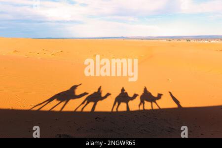 Schatten auf dem Sand in der Sahara-Wüste in Merzouga, Marokko. Kamelkarawane in der Wüste in Afrika. Touristenausflug Kamelritt. Stockfoto