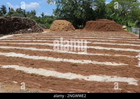 Kokosnuss-Kokos. Kokosfaserfabrik Stockfoto