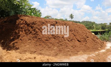 Kokosnuss-Kokos. Kokosfaserfabrik Stockfoto