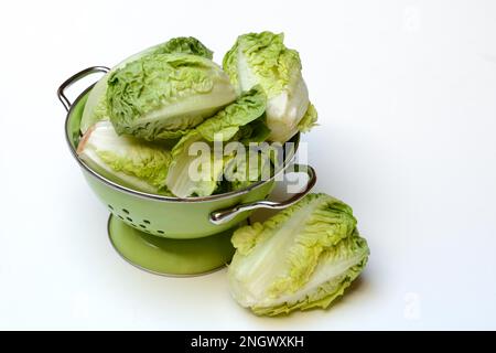 Babysalat in Küchensieb Stockfoto