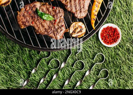 Gegrilltes Steak Gemüse mit Metallspieß Grill grünen Gras Hintergrund Stockfoto