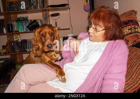 73 Jahre alte Seniorin und ihr Cockerspaniel Hund schauen sich aus nächster Nähe mit Liebe an. Stockfoto