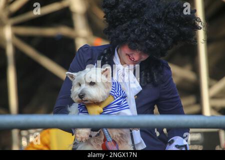 Aviles, Spanien, 19. Februar 2023: Eine Dame und ihr Musikerhund während des Antroxaes Pet Contest am 18. Februar 2023 in Aviles, Spanien. Kredit: Alberto Brevers / Alamy Live News Stockfoto