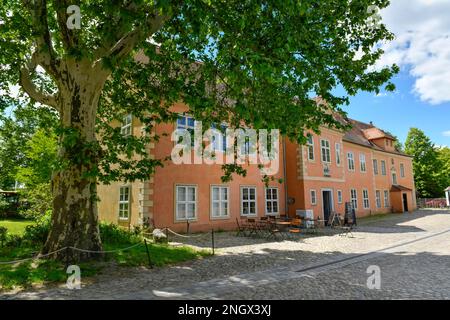 Herrenhaus, Dahlem Domain, Koenigin-Luise, Dahlem, Steglitz-Zehlendorf, Berlin, Deutschland, Königin-Luise-Straße Stockfoto