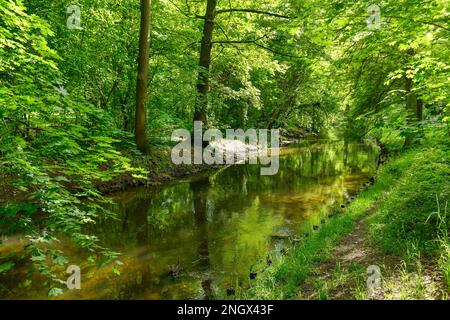 Panke, Schlosspark Schönhausen, Niederschoenhausen, Pankow, Berlin, Deutschland Stockfoto