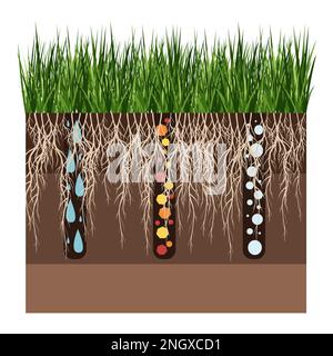 Rasenpflege - Belüftung und Vertikufikation. Beschriftungen nach Stufe danach. Aufnahme von Substanzen – Wasser, Sauerstoff und Nährstoffen zur Ernährung von Gras und Boden. Vektor Stock Vektor