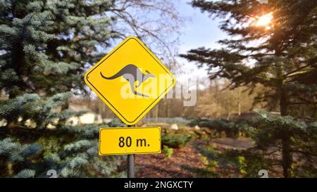 Känguru-Warnschild in Nahaufnahme Stockfoto