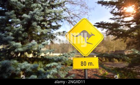 Känguru-Warnschild in Nahaufnahme Stockfoto