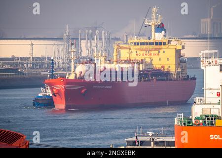 Flüssiggastanker Navigator Genesis, Flüssiggas, Autogas, Flüssiggas Transport, im Hafen von Rotterdam, in den Petroleumhaven, Europo Stockfoto