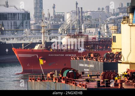 Flüssiggastanker Navigator Genesis, Flüssiggas, Autogas, Flüssiggas Transport, im Hafen von Rotterdam, in den Petroleumhaven, Europo Stockfoto