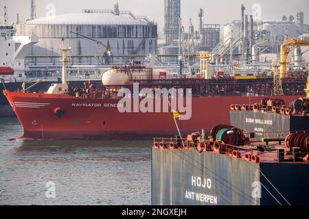 Flüssiggastanker Navigator Genesis, Flüssiggas, Autogas, Flüssiggas Transport, im Hafen von Rotterdam, in den Petroleumhaven, Europo Stockfoto