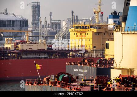 Flüssiggastanker Navigator Genesis, Flüssiggas, Autogas, Flüssiggas Transport, im Hafen von Rotterdam, in den Petroleumhaven, Europo Stockfoto