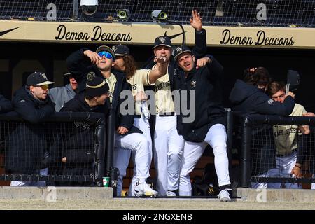 19. Februar 2023: Baseballteam Wake Forest tanzt zur Musik. Wake Forest gewann 18:3. NCAA-Baseballspiel zwischen Youngstown University und Wake Forest University im David F. Couch Ballpark, Winston Salem. North Carolina. David Beach/CSM Stockfoto