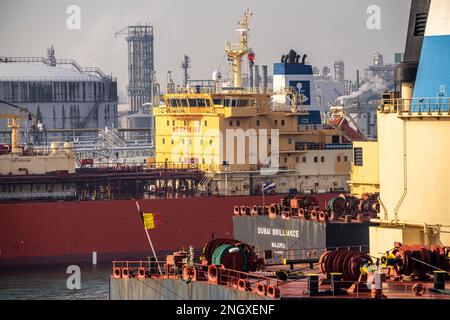 Flüssiggastanker Navigator Genesis, Flüssiggas, Autogas, Flüssiggas Transport, im Hafen von Rotterdam, in den Petroleumhaven, Europo Stockfoto