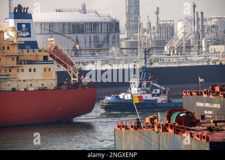 Flüssiggastanker Navigator Genesis, Flüssiggas, Autogas, Flüssiggas Transport, im Hafen von Rotterdam, in den Petroleumhaven, Europo Stockfoto