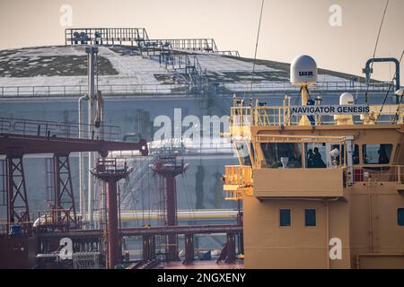 Flüssiggastanker Navigator Genesis, Flüssiggas, Autogas, Flüssiggas Transport, im Hafen von Rotterdam, in den Petroleumhaven, Europo Stockfoto