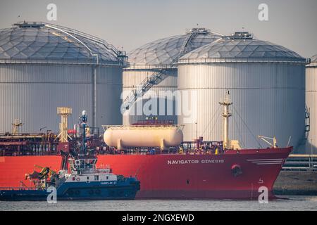 Flüssiggastanker Navigator Genesis, Flüssiggas, Autogas, Flüssiggas Transport, im Hafen von Rotterdam, in den Petroleumhaven, Europo Stockfoto