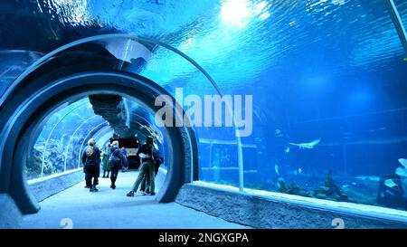 Lodz, Polen. 16. Februar 2023 Orientarium Zoo Lodz. Gruppe von Touristen, die das Aquarium besuchen. Menschen im Unterwassertunnel-Aquarium. Ozean und Korallen r Stockfoto