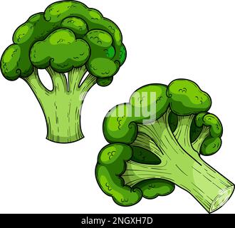 Grünkohl-Brokkoli, handgezogener Vektorsatz, Stock Vektor