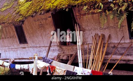 Dieser junge, indigene Karo Batak Junge ist einer der letzten, die in einem traditionellen Langhaus leben. Sumatra, Indonesien. Stockfoto