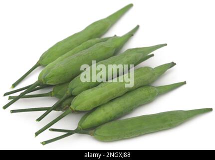 Grüne Senfbohnen auf weißem Hintergrund Stockfoto