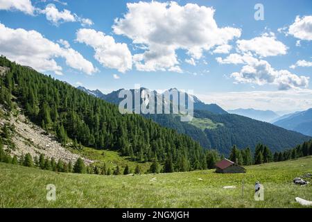 Wilde Natur in den abgelegenen Seitentälern des Valle Mesolcina im Süden Graubündens Stockfoto