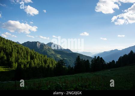 Wilde Natur in den abgelegenen Seitentälern des Valle Mesolcina im Süden Graubündens Stockfoto