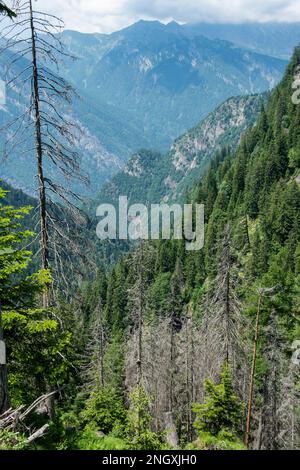 Wilde Natur in den abgelegenen Seitentälern des Valle Mesolcina im Süden Graubündens Stockfoto