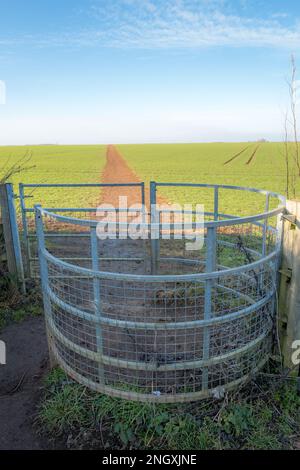 Verzinkter Stahlzylinder Kissing Gate führt zu einem öffentlichen Fußweg über ein Bauernfeld. Stockfoto