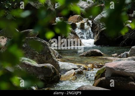 Wilde Natur in den abgelegenen Seitentälern des Valle Mesolcina im Süden Graubündens Stockfoto