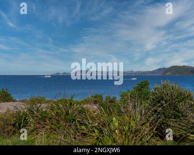 Wellington Harbor Von Petone Foreshore Stockfoto