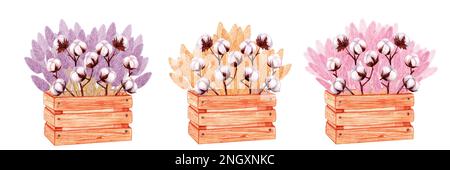 Holzkisten mit Baumwollzweigen und rosafarbenem lila gelbem Pampasgras. Handgezeichnete Aquarelldarstellung isoliert auf weißem Hintergrund. Für das Design Stockfoto