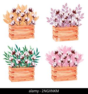 Holzkisten mit Baumwollzweigen und rosafarbenem lila gelbem Pampasgras. Handgezeichnete Aquarelldarstellung isoliert auf weißem Hintergrund. Für das Design Stockfoto