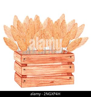 Holzkiste mit Pampasgras, gelben getrockneten Kräuterblumen. Handgezeichnete Aquarelldarstellung isoliert auf weißem Hintergrund. Stockfoto