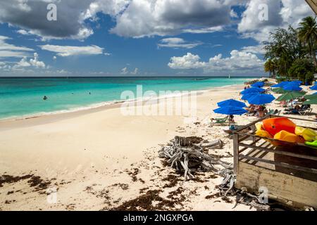 Maxwell Beach Barbados, türkisfarbenes Meer, weißer Sand und Palmen Stockfoto