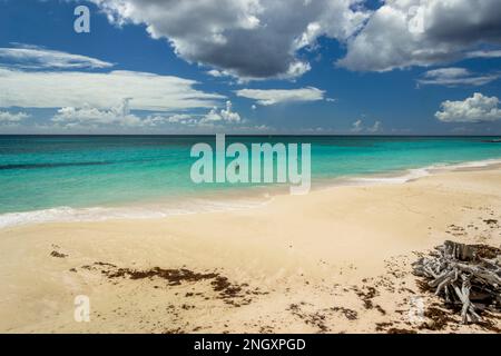 Maxwell Beach Barbados, türkisfarbenes Meer, weißer Sand und Palmen Stockfoto