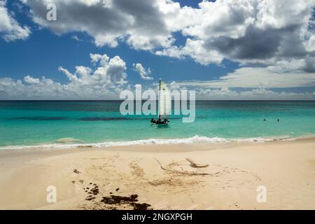 Maxwell Beach Barbados, türkisfarbenes Meer, weißer Sand und Palmen Stockfoto