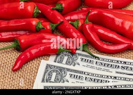 Rote Cayennepaprika und Bargeld. Konzept für die Erzeugung von heißem Pfeffer, frischem und biologischem Gemüse. Stockfoto