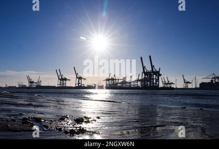 Hamburg, Deutschland. 19. Februar 2023. Containergantrykrane am Burchardkai-Terminal (CTB) der Hamburger Hafen und Logistik AG (HHLA). Kredit: Christian Charisius/dpa/Alamy Live News Stockfoto