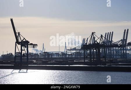 Hamburg, Deutschland. 19. Februar 2023. Containergantrykrane am Burchardkai-Terminal (CTB) der Hamburger Hafen und Logistik AG (HHLA). Kredit: Christian Charisius/dpa/Alamy Live News Stockfoto