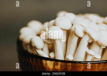 Frische rohe braune Shimiji-Shimeji-Pilze in gelber Schüssel Hypsizygus tessulatus ist ein in Ostasien einheimischer Pilz. Vegetarische vegane gesunde Lebensmittel Foto. Stockfoto