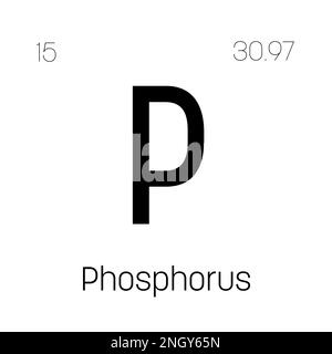 Phosphor, P, Periodenelement mit Name, Symbol, Atomzahl und Gewicht. Nichtmetall mit verschiedenen industriellen Verwendungszwecken, z. B. in Düngemitteln, Detergenzien und als Bestandteil bestimmter Arten von Explosivstoffen. Stock Vektor