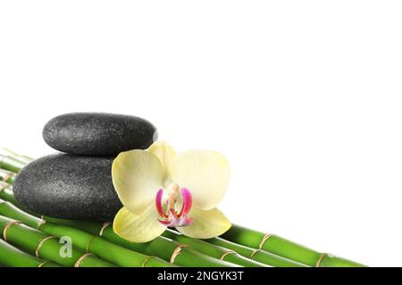 Wellnesssteine und wunderschöne Orchideenblume auf Bambusstämmen vor weißem Hintergrund Stockfoto